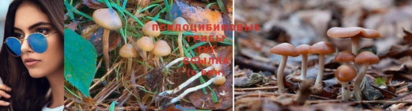 стаф Нягань