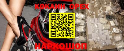 прущие грибы Ирбит