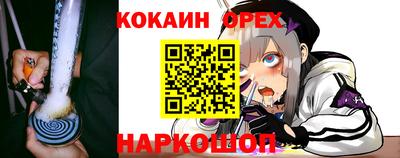 прущие грибы Ирбит
