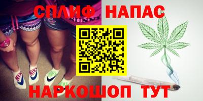 прущие грибы Ирбит