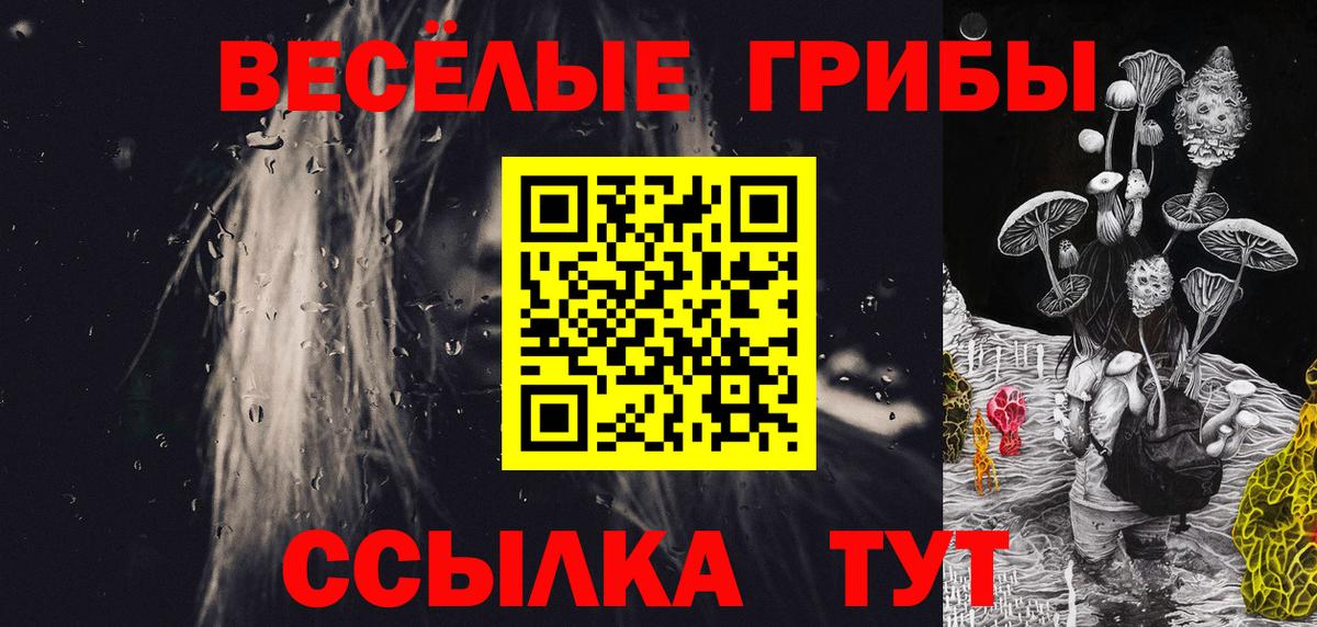 Псилоцибиновые грибы прущие грибы Татарск