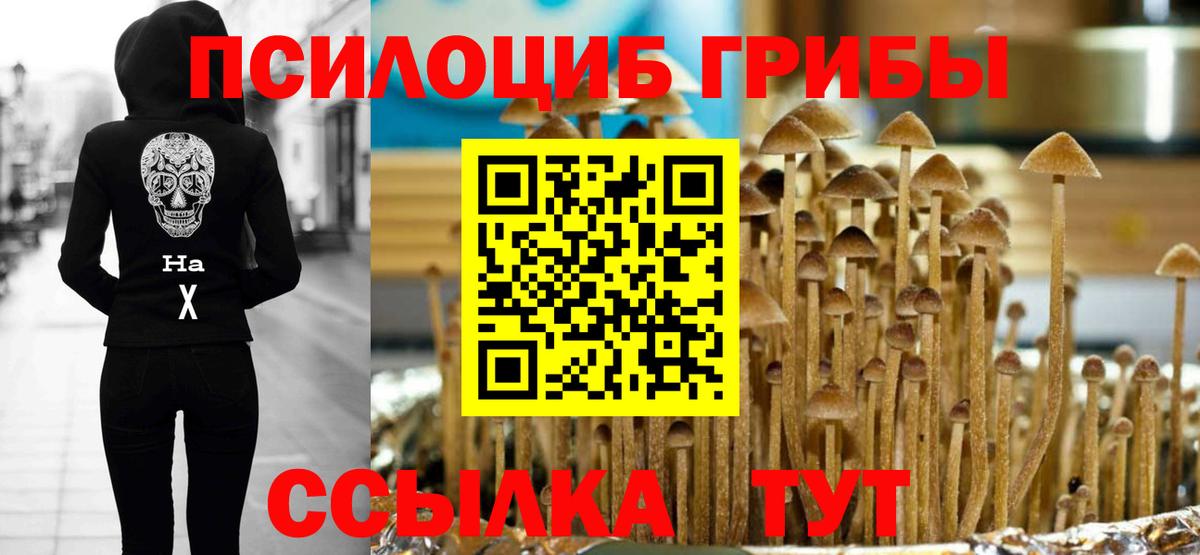 Псилоцибиновые грибы мухоморы Татарск