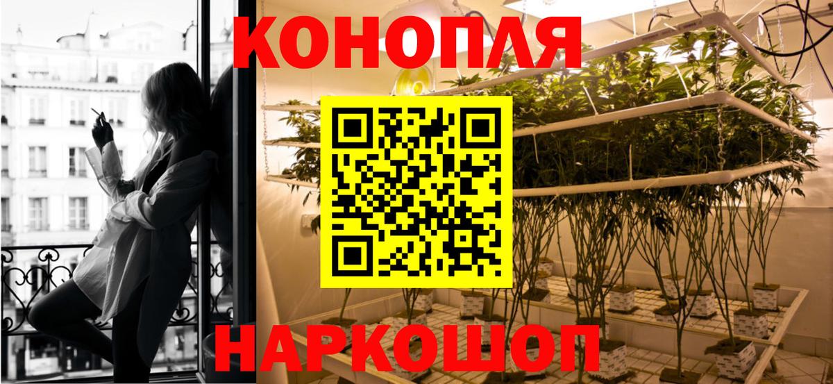Шишки марихуана Ganja  Каннабис OG Kush  Бошки Шишки планчик  Вход с VPN  Татарск 